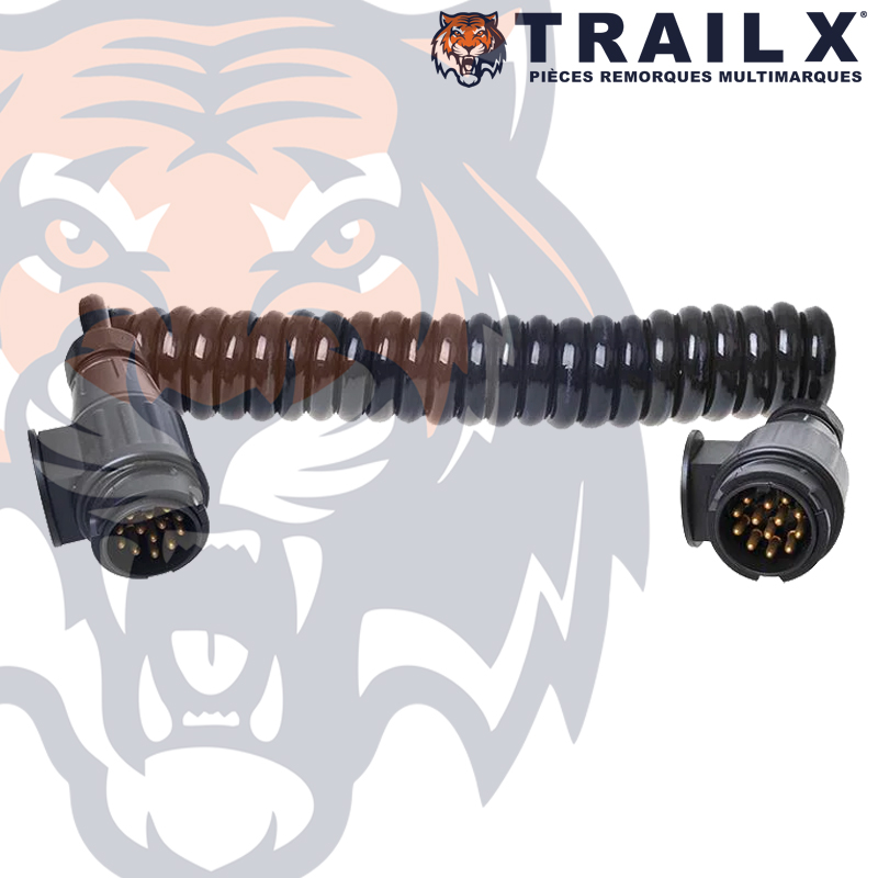 RALLONGE 2X13B MALE - PLASTIQUE 8X3.5M SPIRAL