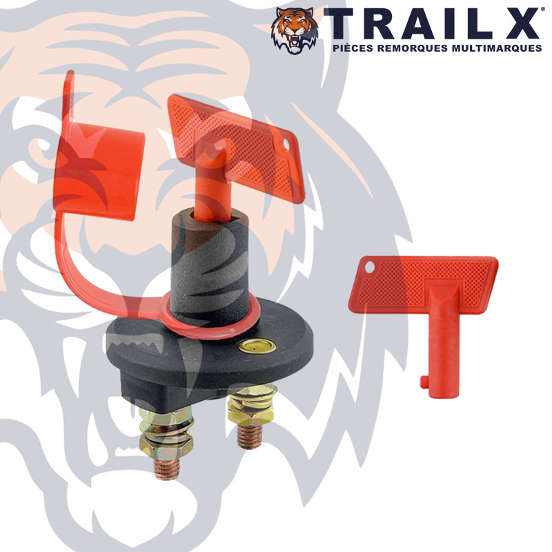 COUPE BATTERIE 12-24V 100A