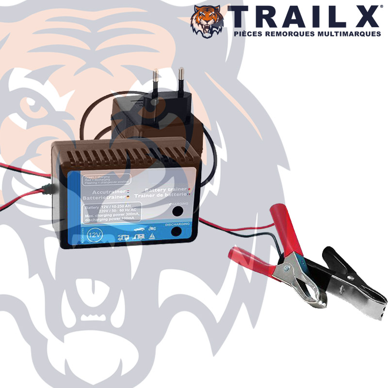 CHARGEUR BATTERIE 12V 10-250AH