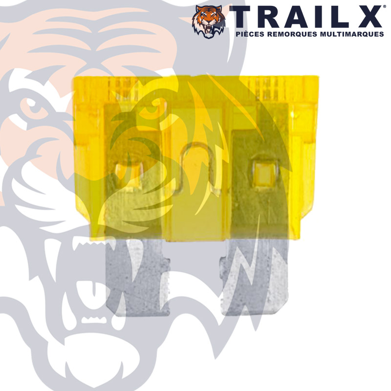 FUSIBLE A BROCHE 20A (X6)