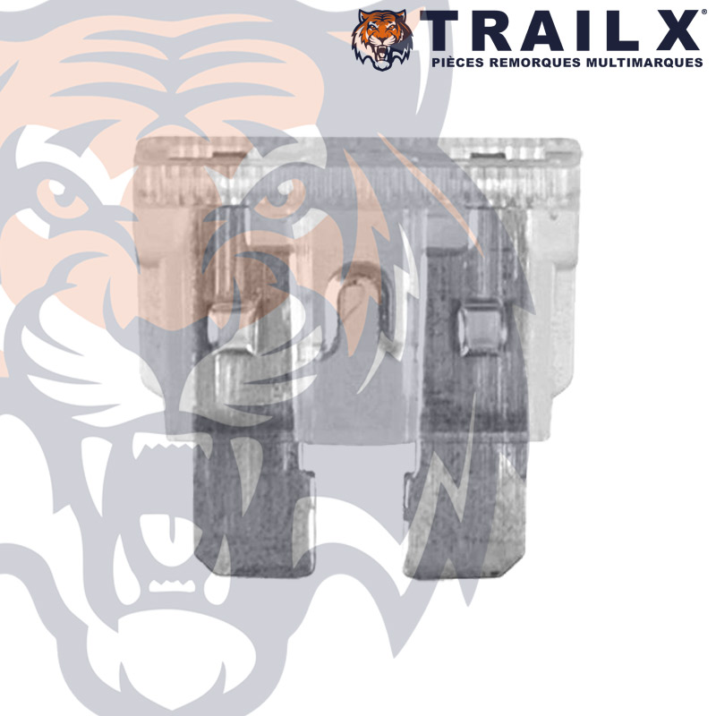 FUSIBLE A BROCHE 25A (X6)