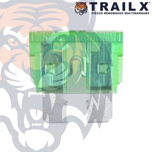 [EL302-30.B6] FUSIBLE A BROCHE 30A (X6)