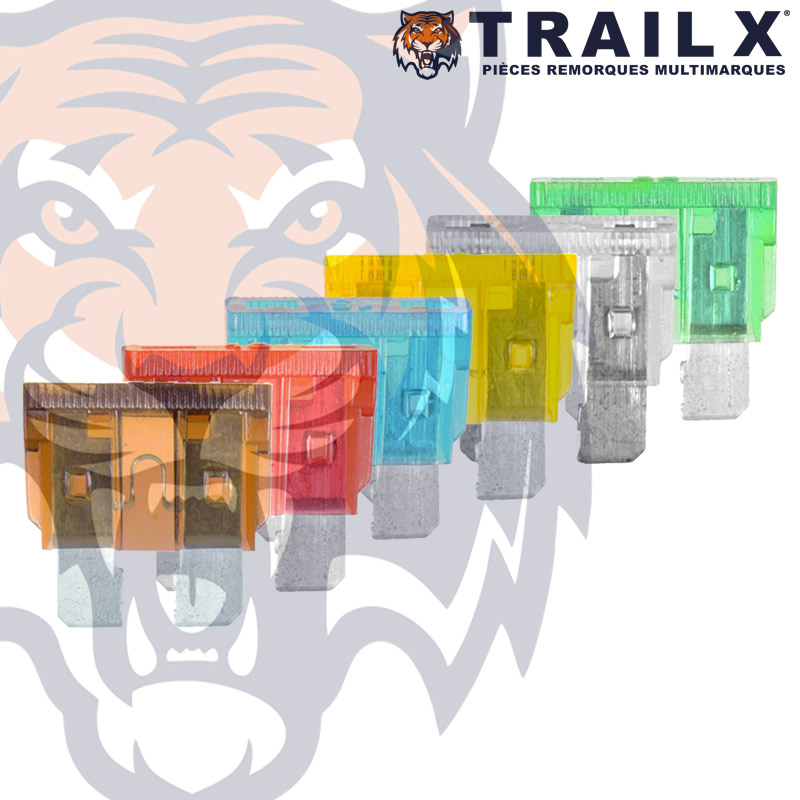 FUSIBLE A BROCHES MIX (X6)