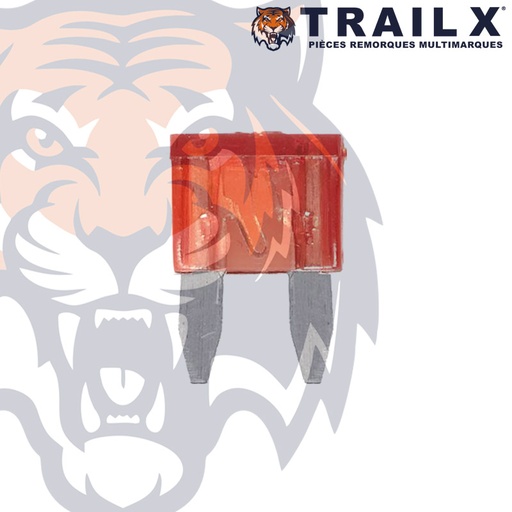 [EL303-10.B6] FUSIBLE MINIBROCHE 10A (X6)