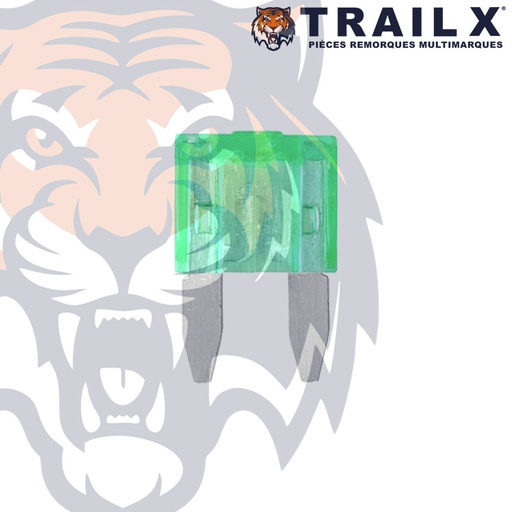 [EL303-30.B6] FUSIBLE MINIBROCHE 30A (X6)