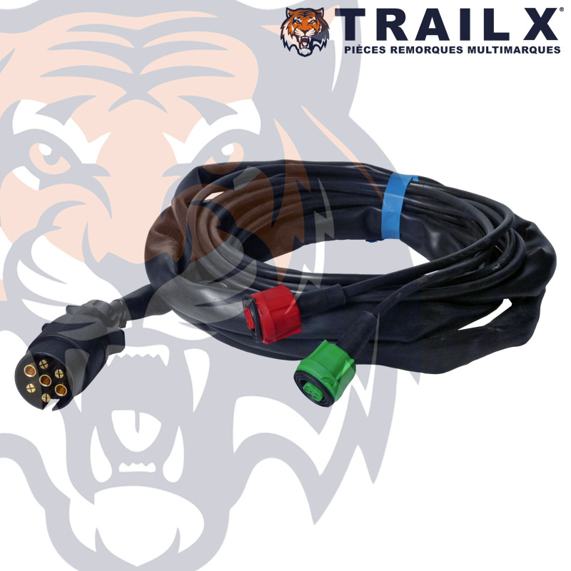 FAISCEAU BAY CARRE 5B P7B - 10M