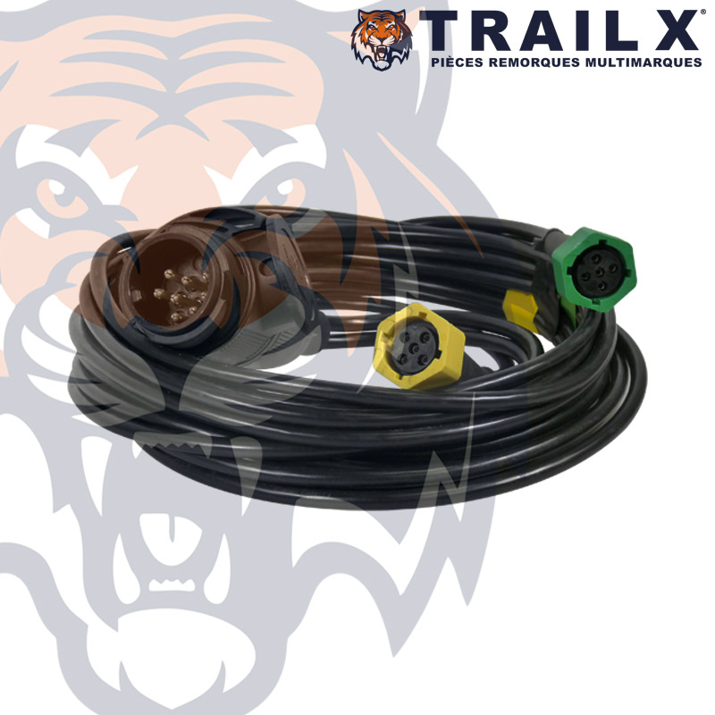 FAISCEAU BAY RONDES 5B + P13B - 9M