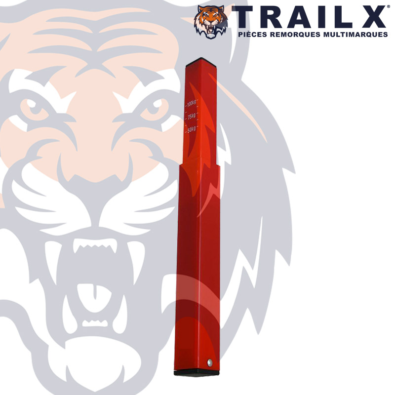 PESE FLECHE GRADUE MAX 100KG - PLASTIQUE