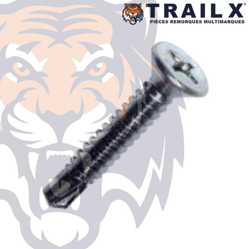 VIS AUTOFOREUSE TETE FRAISEE - 5.5X45