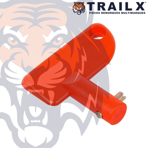 [EL203-C] CLE COUPE BATTERIE