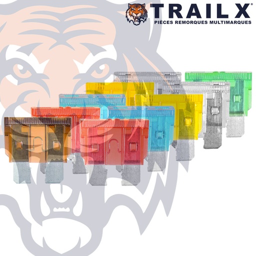 [EL302-MIX.B10] FUSIBLE A BROCHES MIX (X10)