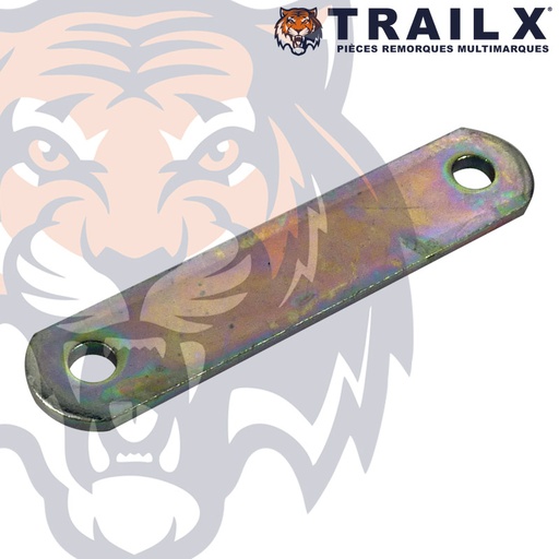 [AS010-100.10] PLAQUETTE 2 TROUS - 100 (X10)